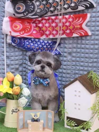 20230514パンくん